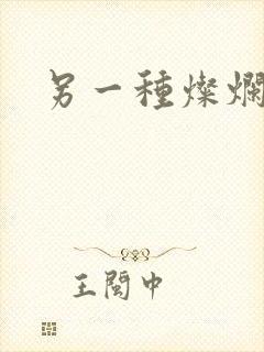 另一种灿烂生活