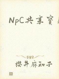 NpC共享宝贝