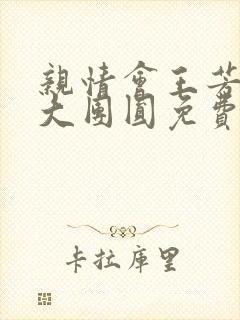 亲情会王芳高敏大团圆免费阅读