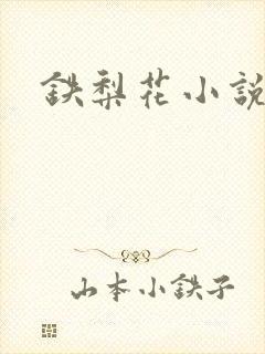 铁梨花小说