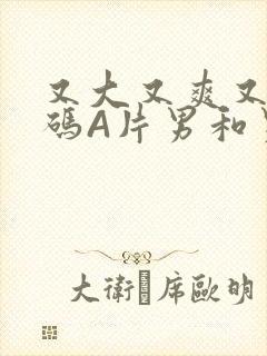 又大又爽又黄无码A片男和男