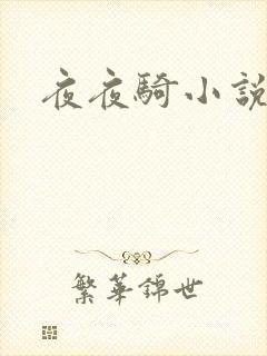夜夜骑小说
