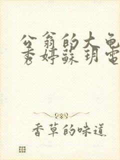 公翁的大龟挺进秀婷苏玥电影