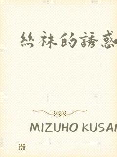 丝袜的诱惑小说