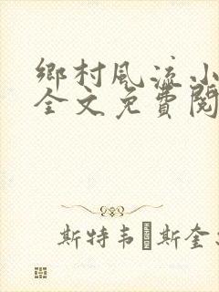 乡村风流小傻子全文免费阅读