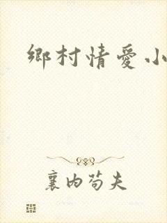 乡村情爱小说