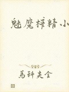 魅魔榨精小说