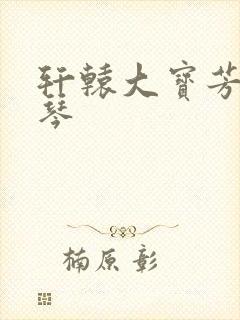 轩辕大宝芳菲雅琴