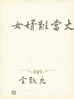 女婿难当大结局