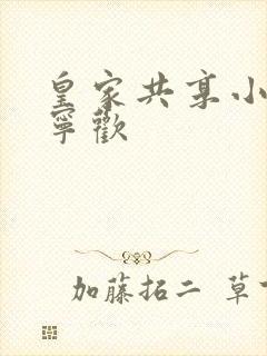 皇家共享小公主宁欢