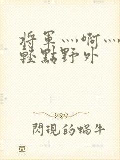 将军灬啊灬啊灬轻点野外