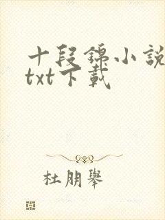 十段锦小说全本txt下载