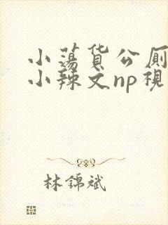 小荡货公厕h文小辣文np视频