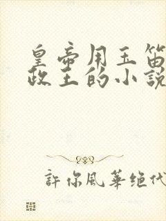 皇帝用玉笛整摄政王的小说