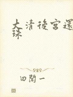 大清后宫还君明珠