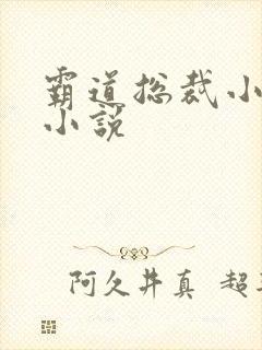 霸道总裁小娇妻小说