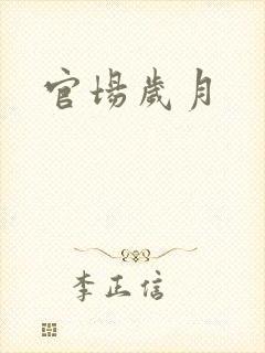 官场岁月