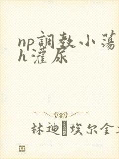 np调教小荡货h灌尿