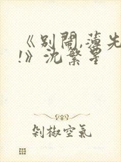 《别闹,薄先生!》沈繁星