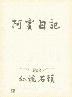 阿宾日记