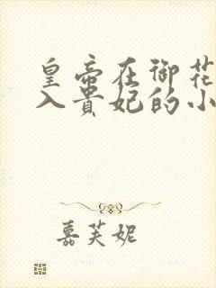 皇帝在御花园进入贵妃的小说