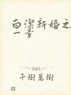 白洁新婚之夜第一章
