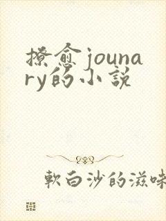 撩愈jounary的小说