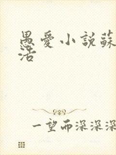 愚爱小说苏倩孙浩