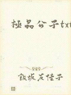 极品公子txt
