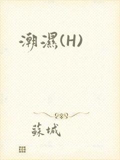 潮湿(H)
