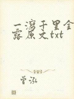 一泻千里金银花露原文txt