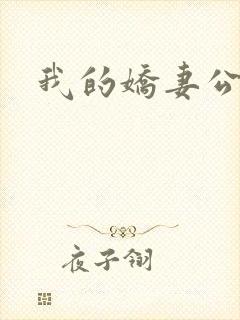 我的娇妻公务员