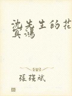 沈先生的花式调冥鸿