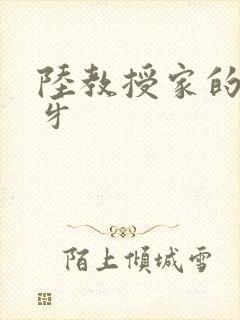 陆教授家的小月牙