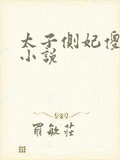 太子侧妃傻乎乎小说