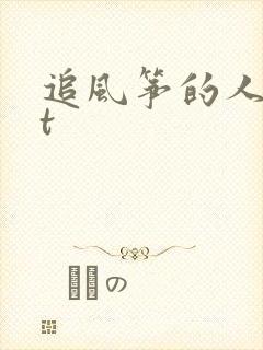追风筝的人txt