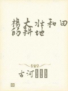 杨大壮和田桂花的耕地