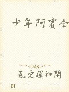 少年阿宾全集