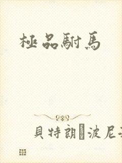 极品驸马