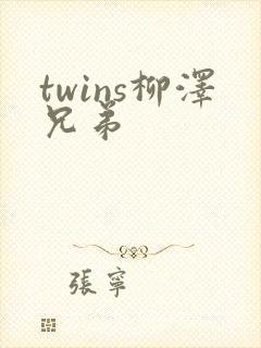 twins柳泽兄弟