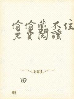 偷偷藏不住小说免费阅读