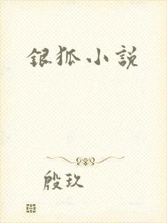 银狐小说