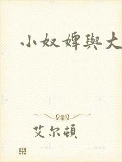 小奴婢与大少爷