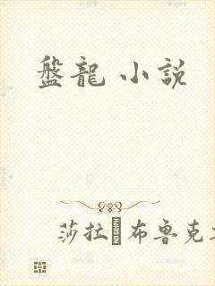 盘龙 小说