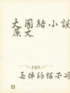 大团结小说阅读原文