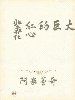 紫红的巨大顶开花心