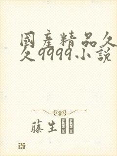 国产精品久久久久9999小说