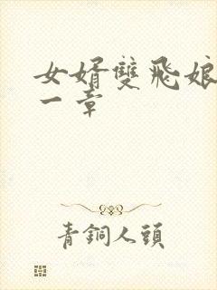 女婿双飞娘俩第一章