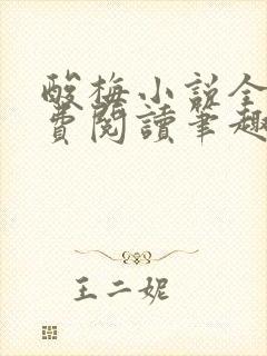 酸梅小说全文免费阅读笔趣阁