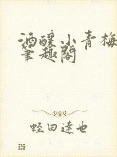 酒酿小青梅po笔趣阁